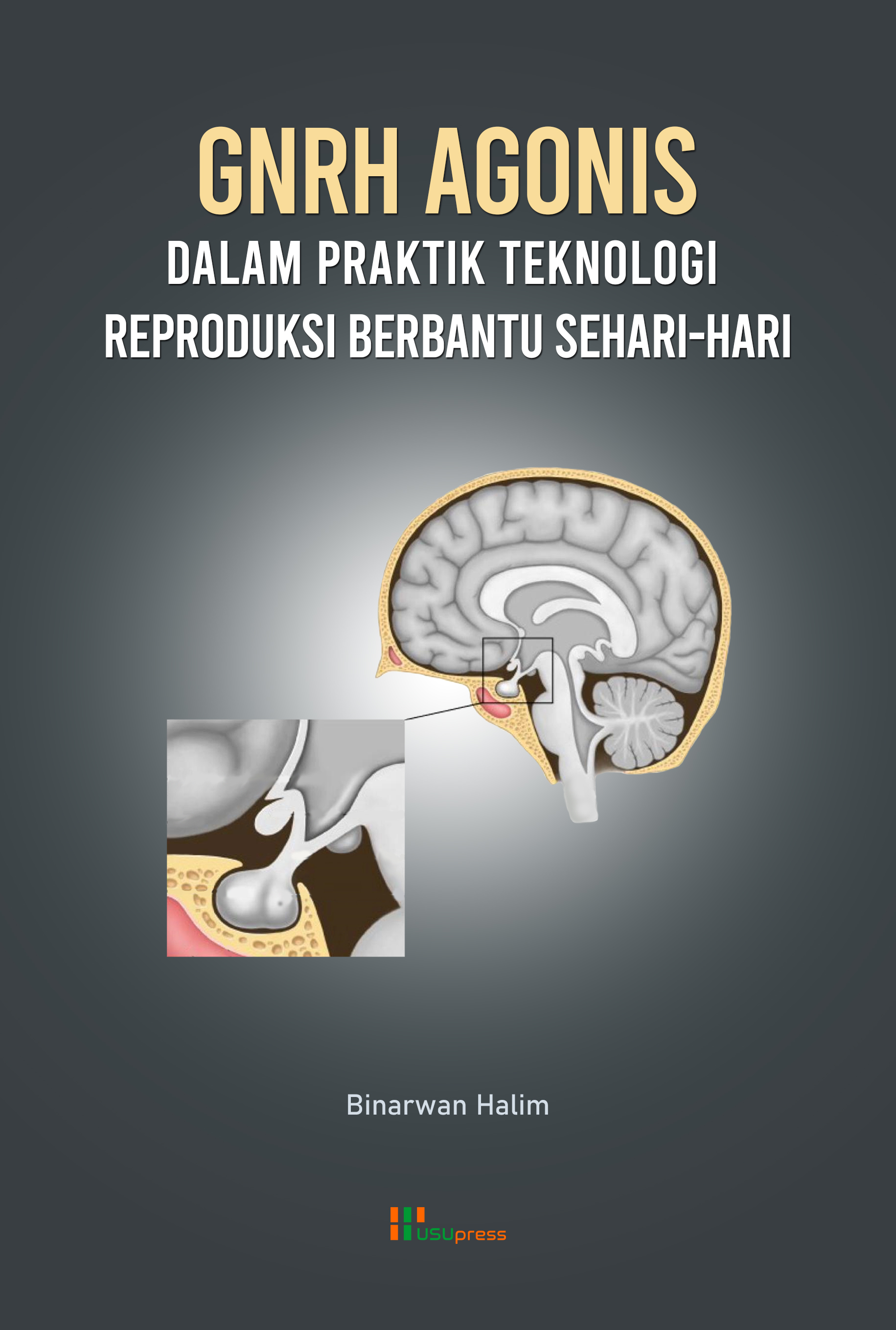 Cover of GnRH Agonis Dalam Praktik Teknologi Reproduksi Berbantu Sehari-hari