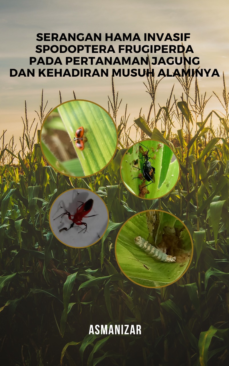 Cover dari Serangan Hama Invasif Spodoptera Frugiperda pada Pertanaman Jagung dan Kehadiran Musuh Alaminya